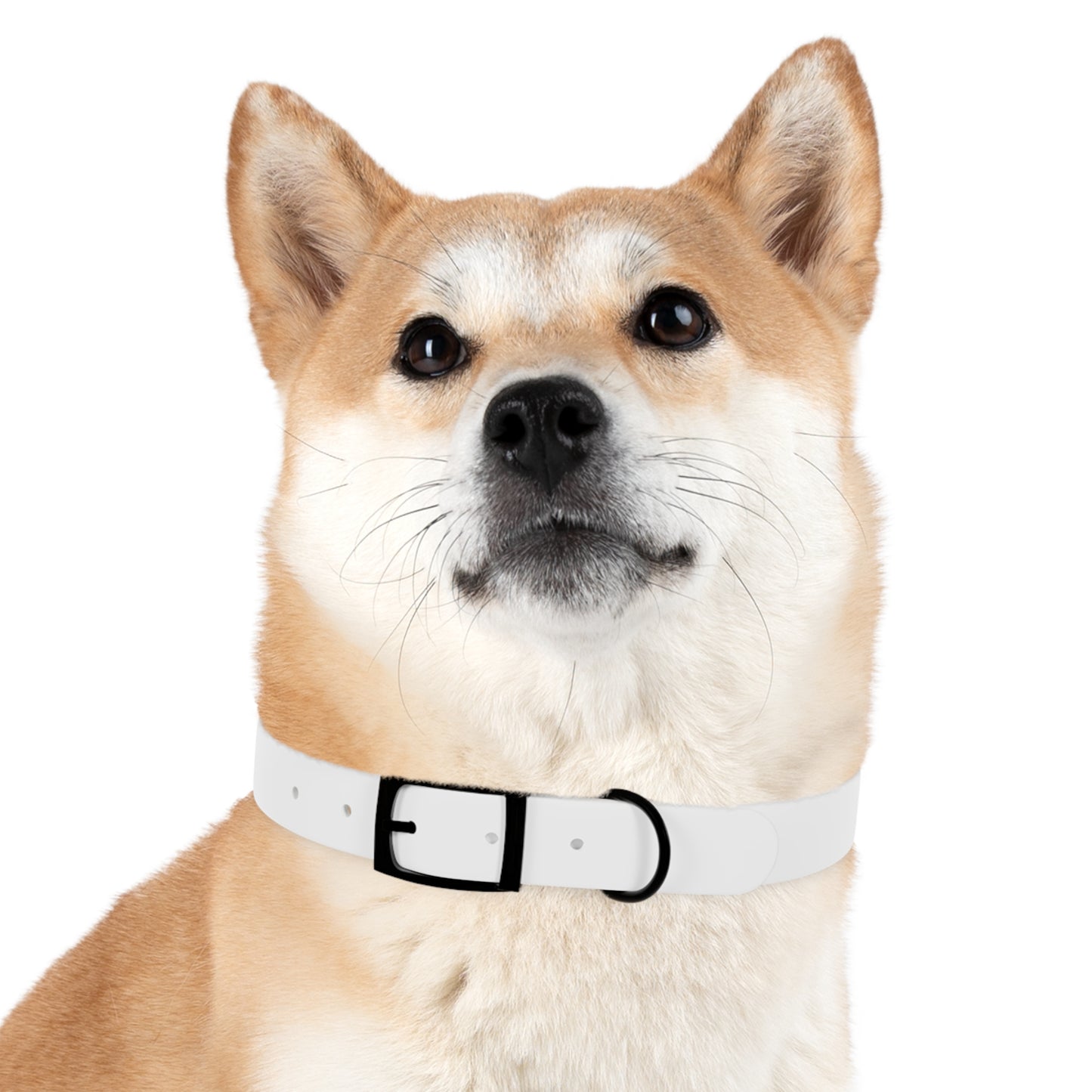 Matiby Dog Collar