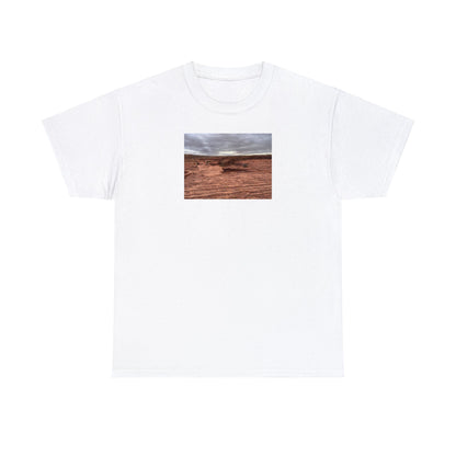 Arizona Unisex Heavy Cotton Tee