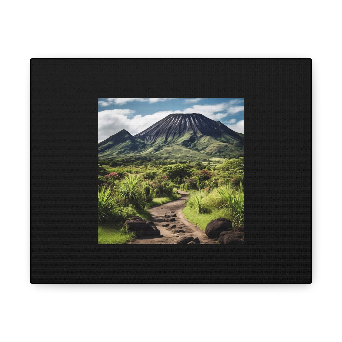 Scenic Black Canvas Gallery Wraps