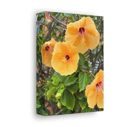 Matiby "Reals" Yellow Flower White Canvas Gallery Wraps