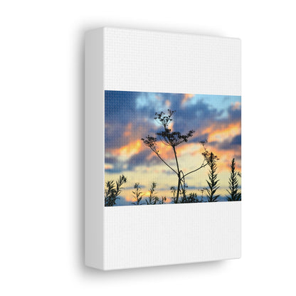 Nature Sunset Silhouette Canvas Gallery Wraps