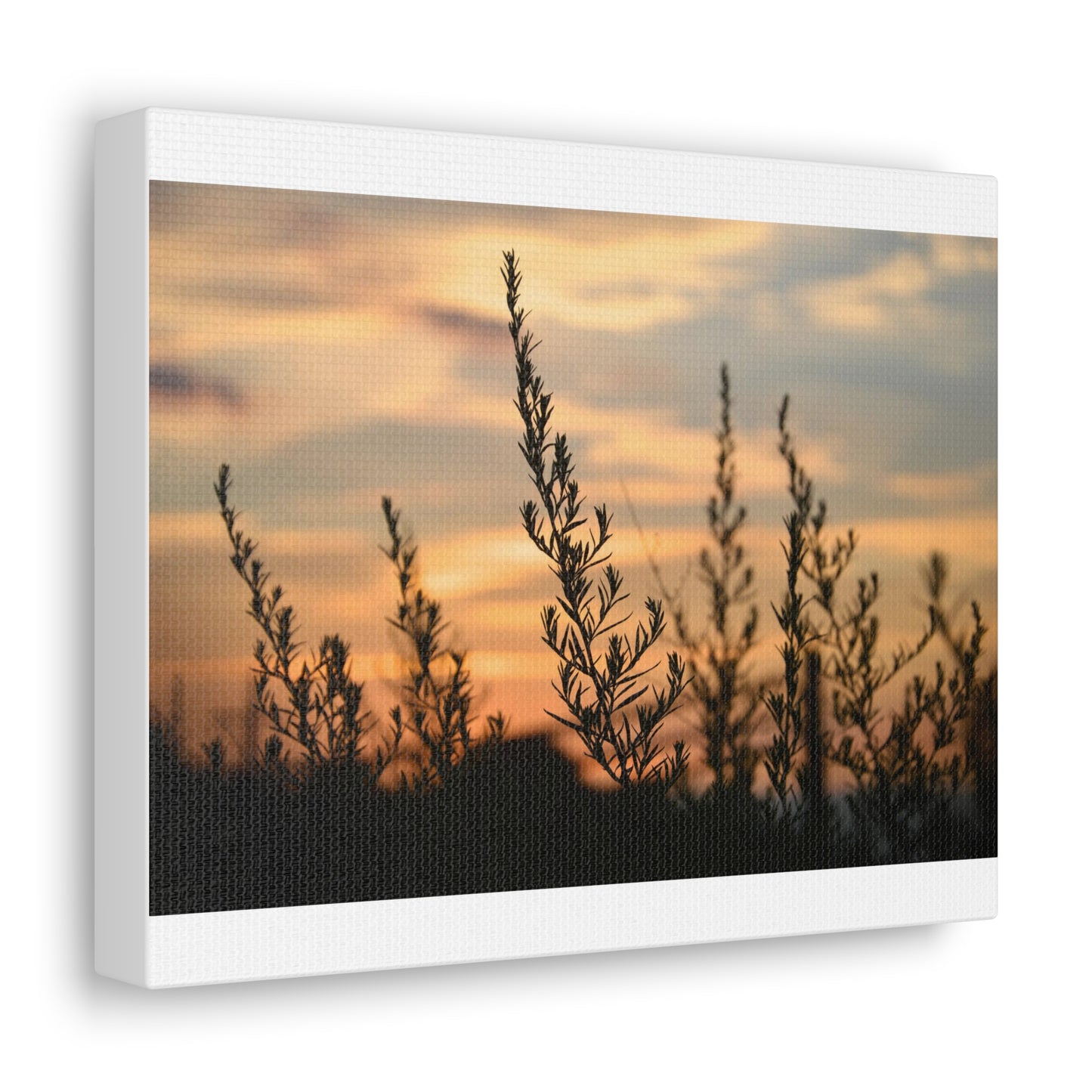 Nature Sunset Silhouette White Canvas Gallery Wraps