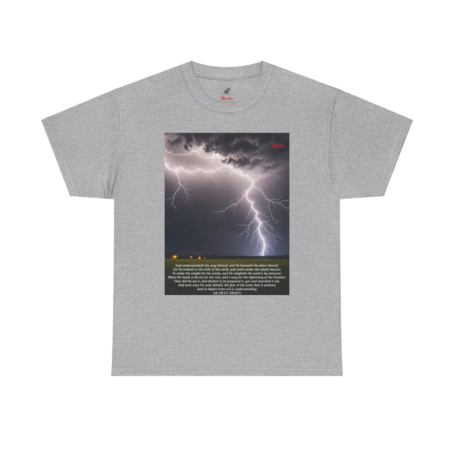 Lightning Style Fear of the Lord Unisex Heavy Cotton Tee