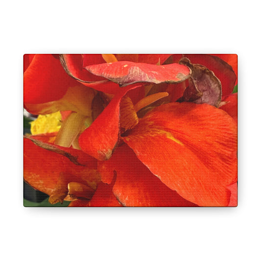 Matiby "Reals" Red Flower Canvas Gallery Wraps