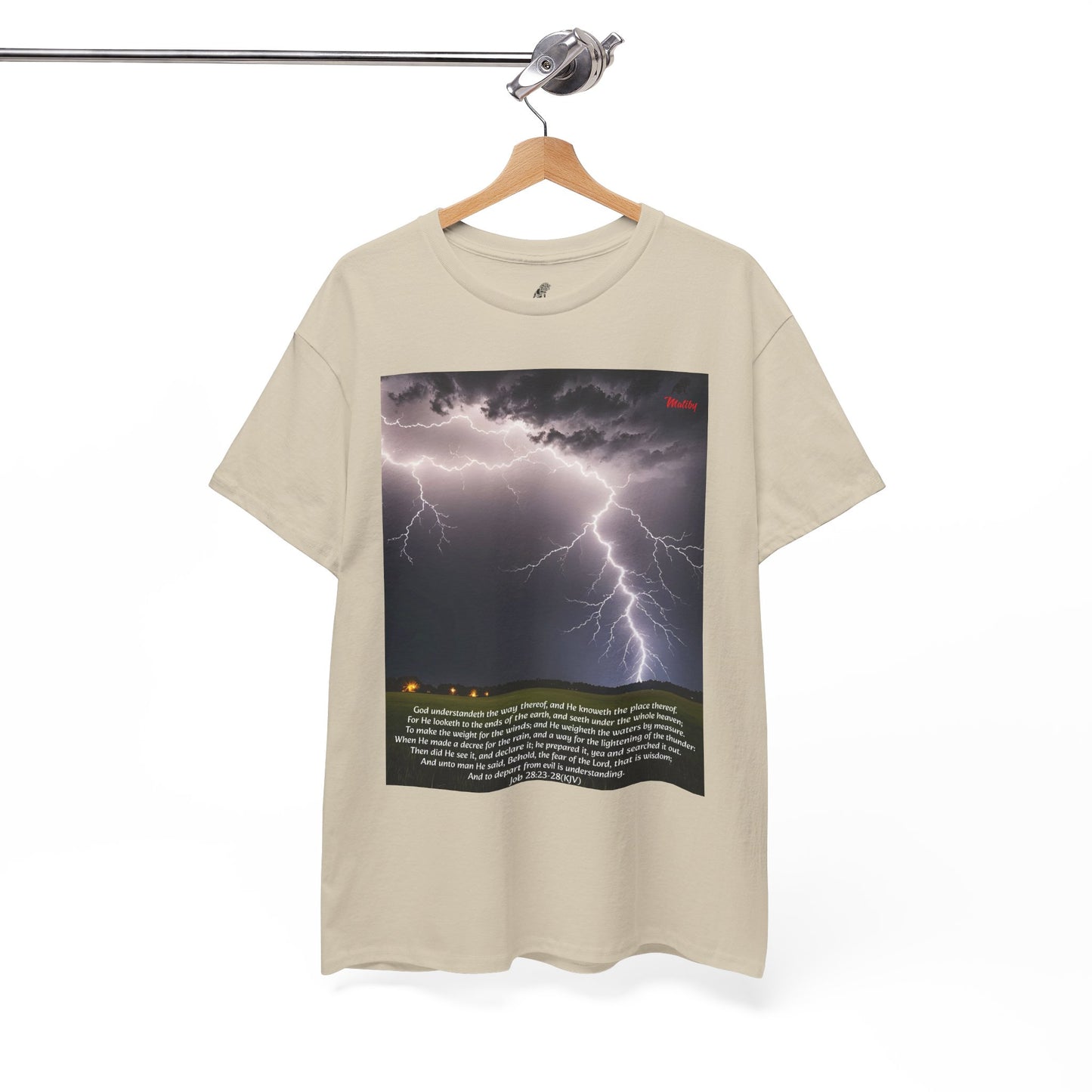 Lightning Style Fear of the Lord Unisex Heavy Cotton Tee