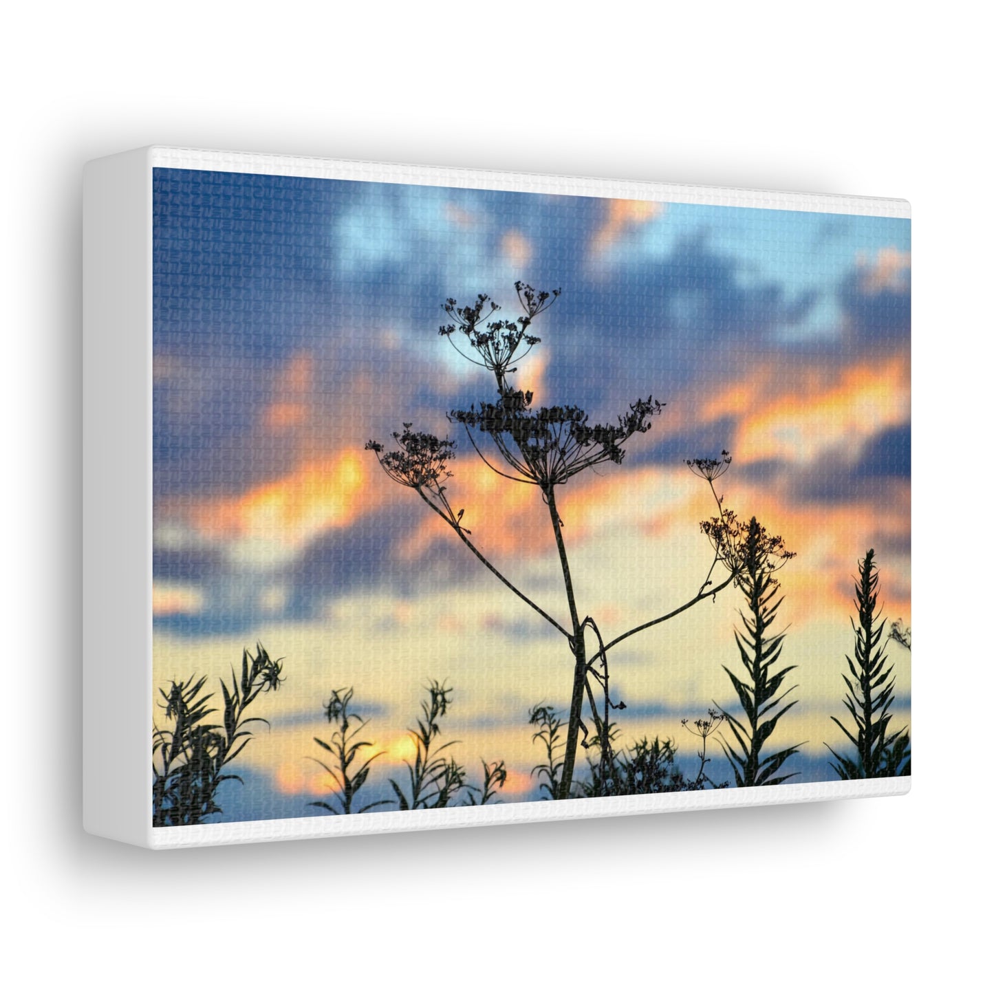 Nature Sunset Silhouette Canvas Gallery Wraps