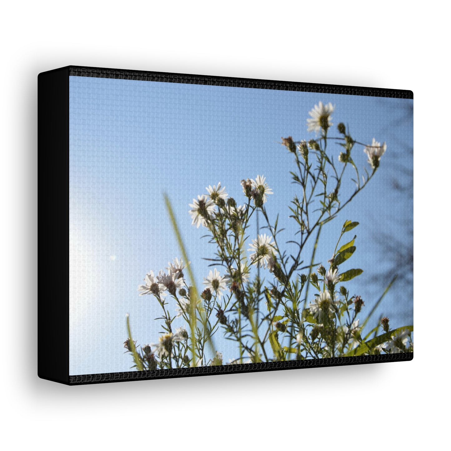 Flowery Black Canvas Gallery Wraps