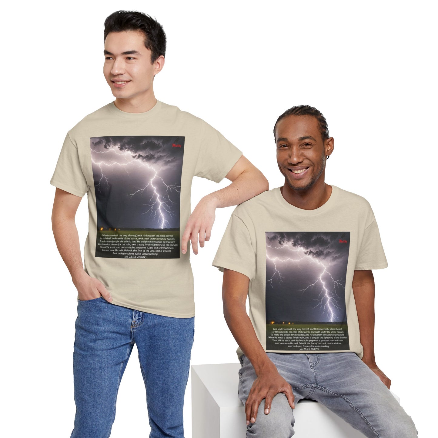 Lightning Style Fear of the Lord Unisex Heavy Cotton Tee