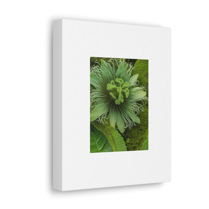 Artzy Green Flower White Canvas Gallery Wraps