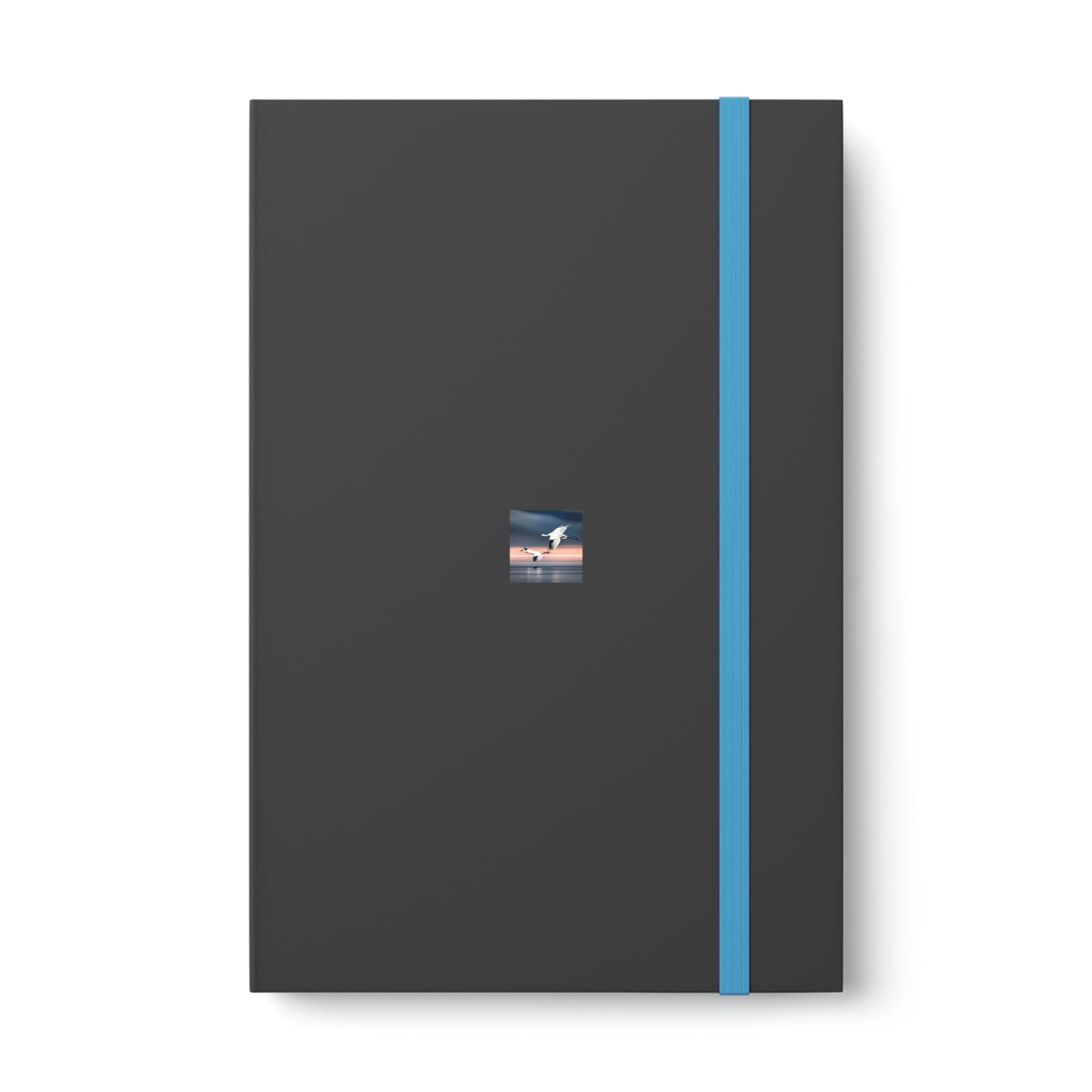 Bird Color Contrast Notebook - Ruled