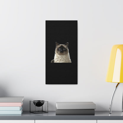 Cat Black Canvas Gallery Wraps