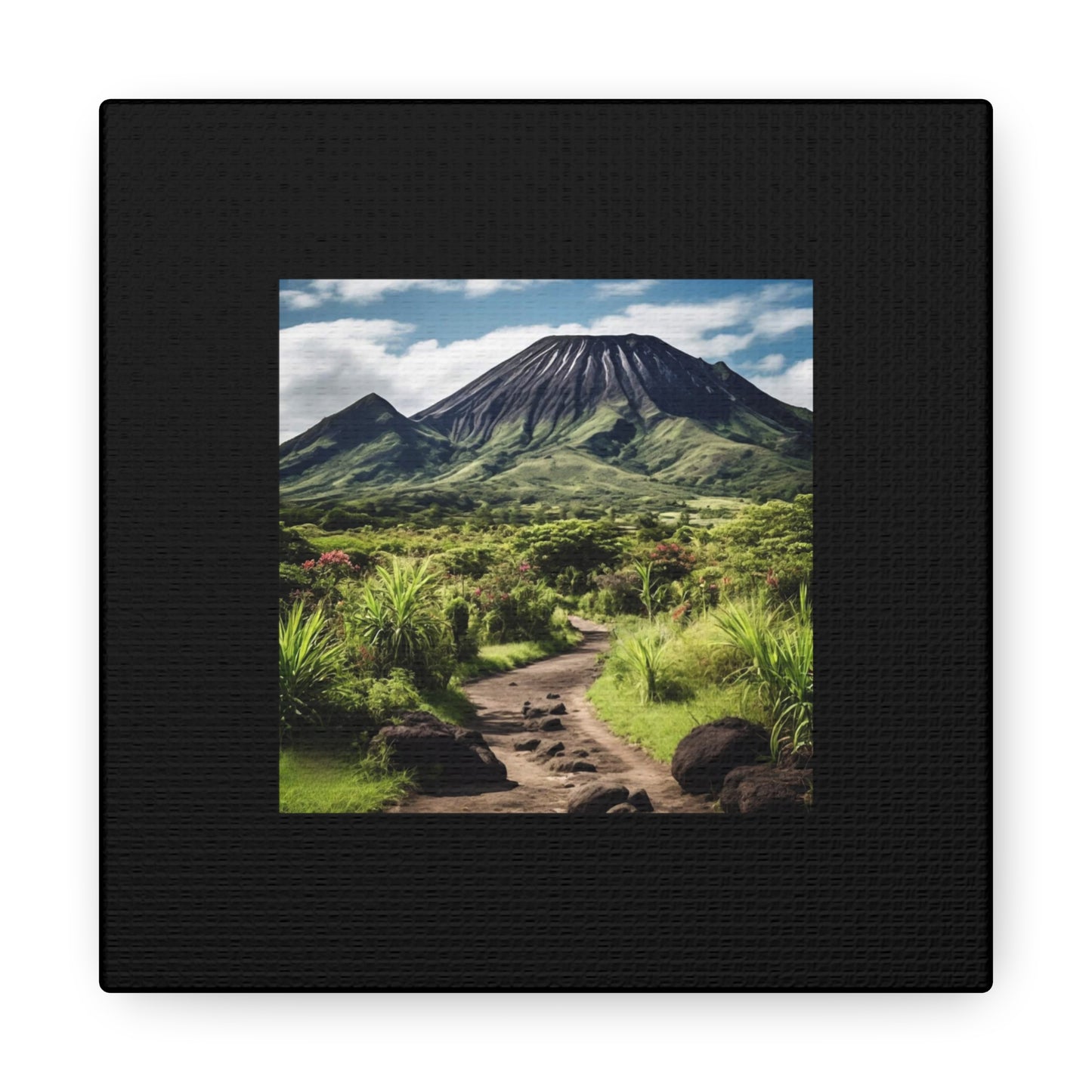 Scenic Black Canvas Gallery Wraps