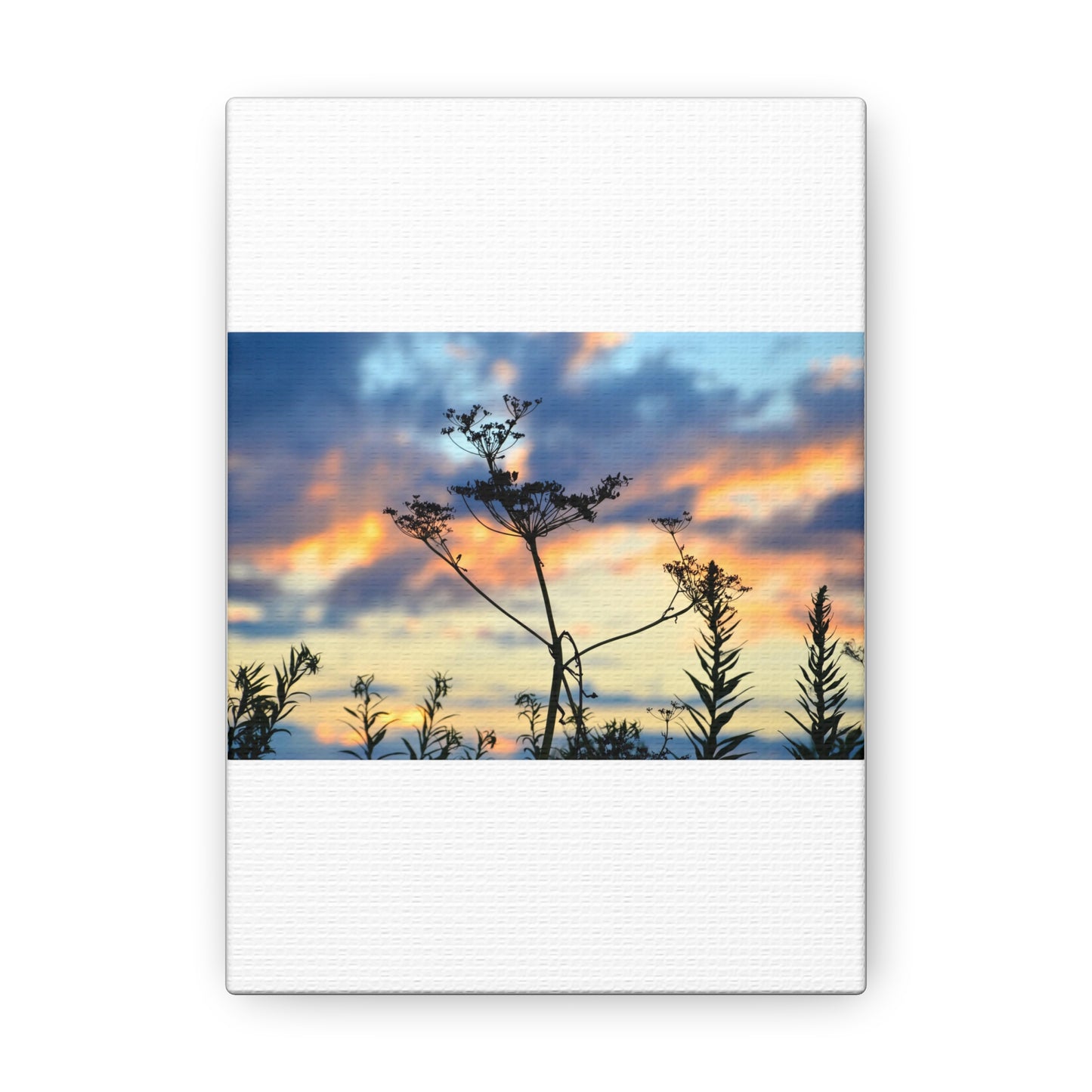 Nature Sunset Silhouette Canvas Gallery Wraps