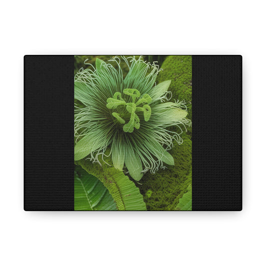 Artzy Green Flower Black Canvas Gallery Wraps