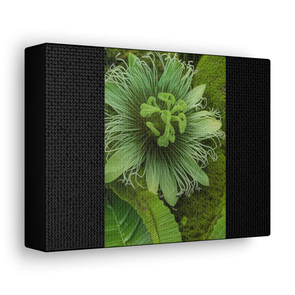 Artzy Green Flower Black Canvas Gallery Wraps