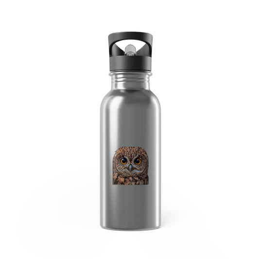 Artzy Owl Stainless Steel Water Bottle With Straw, 20oz