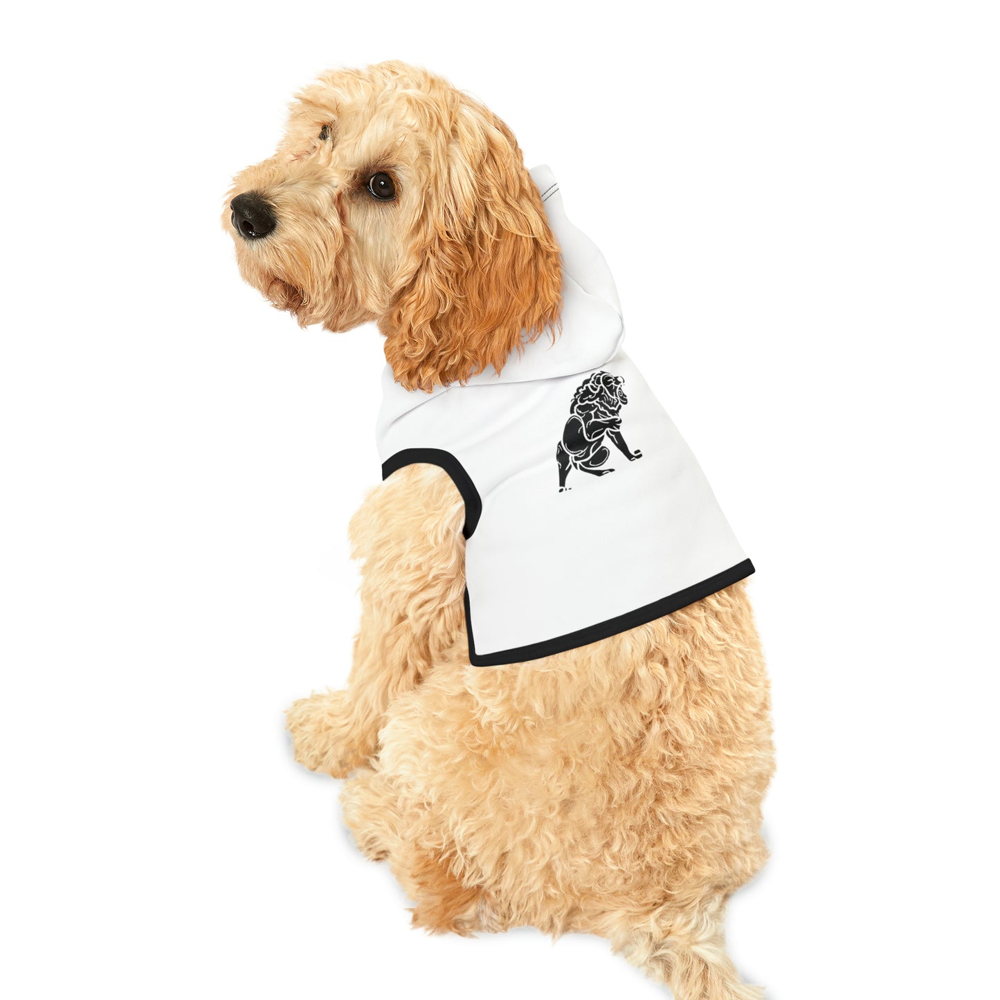 Matiby Pet Hoodie