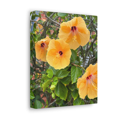 Matiby "Reals" Yellow Flower White Canvas Gallery Wraps