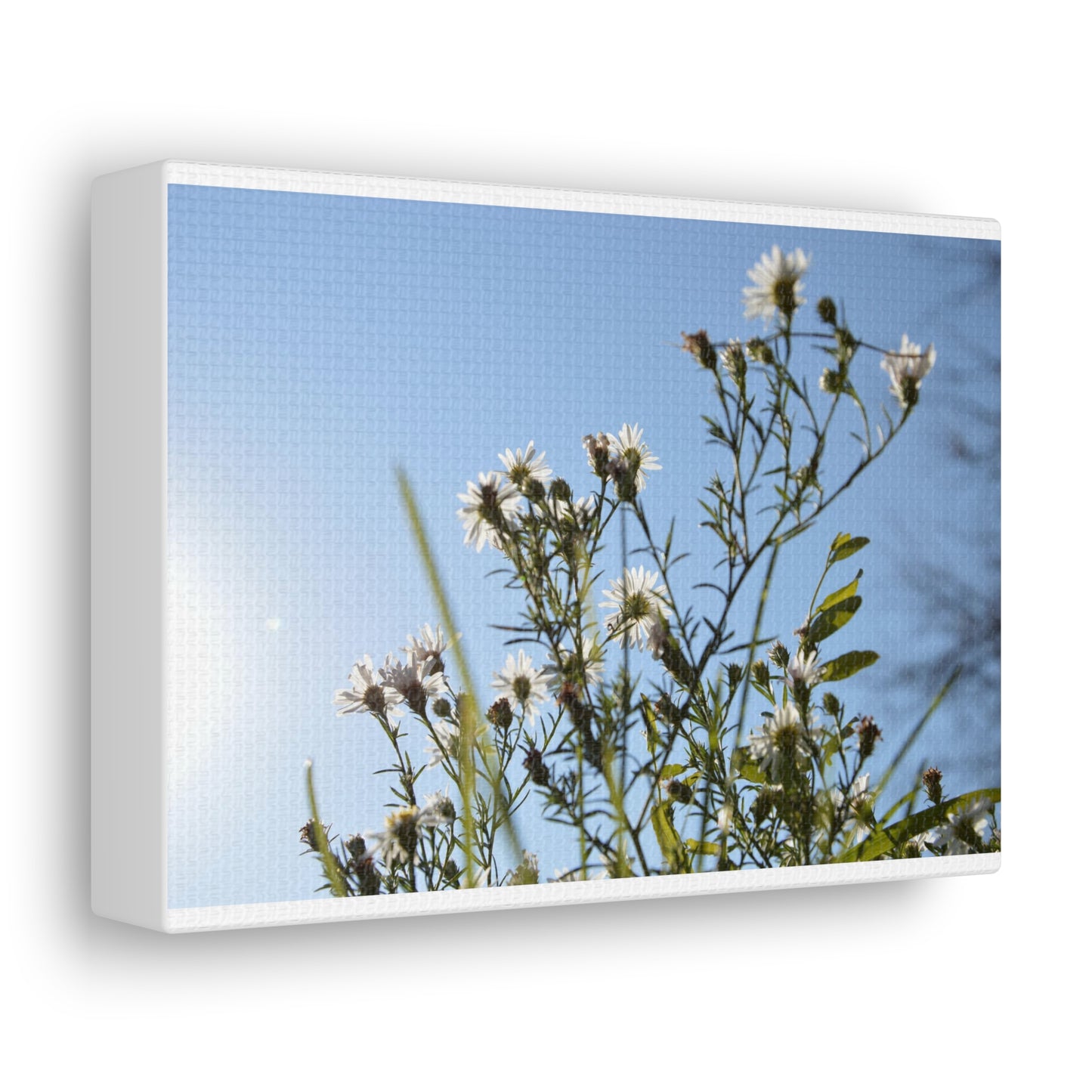 Flowery White Canvas Gallery Wraps