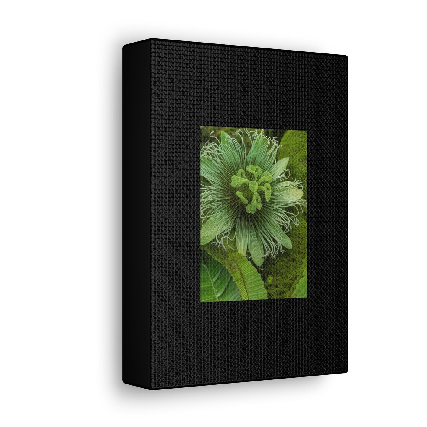 Artzy Green Flower Black Canvas Gallery Wraps