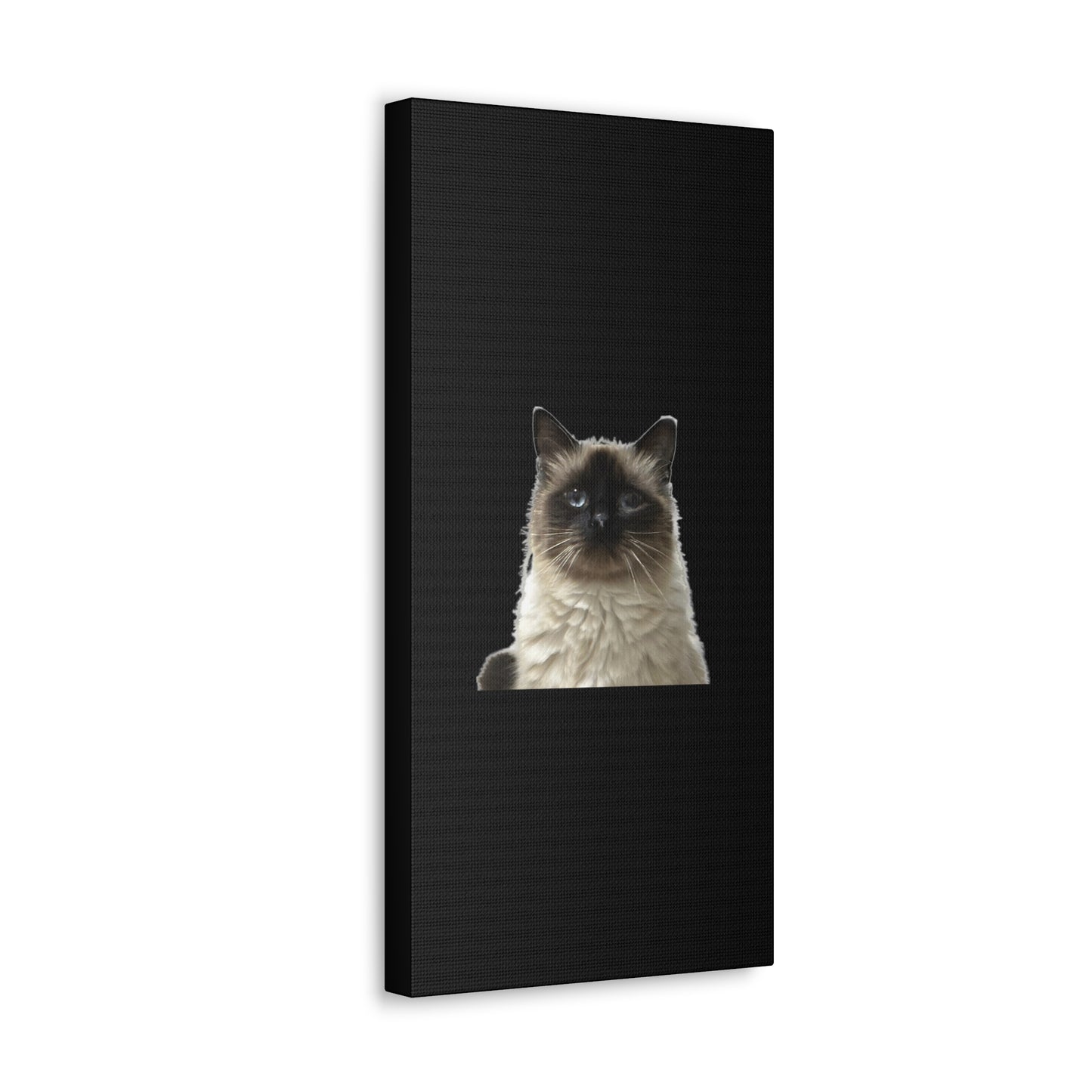 Cat Black Canvas Gallery Wraps