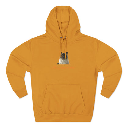 Matiby EY Special Unisex Premium Pullover Hoodie