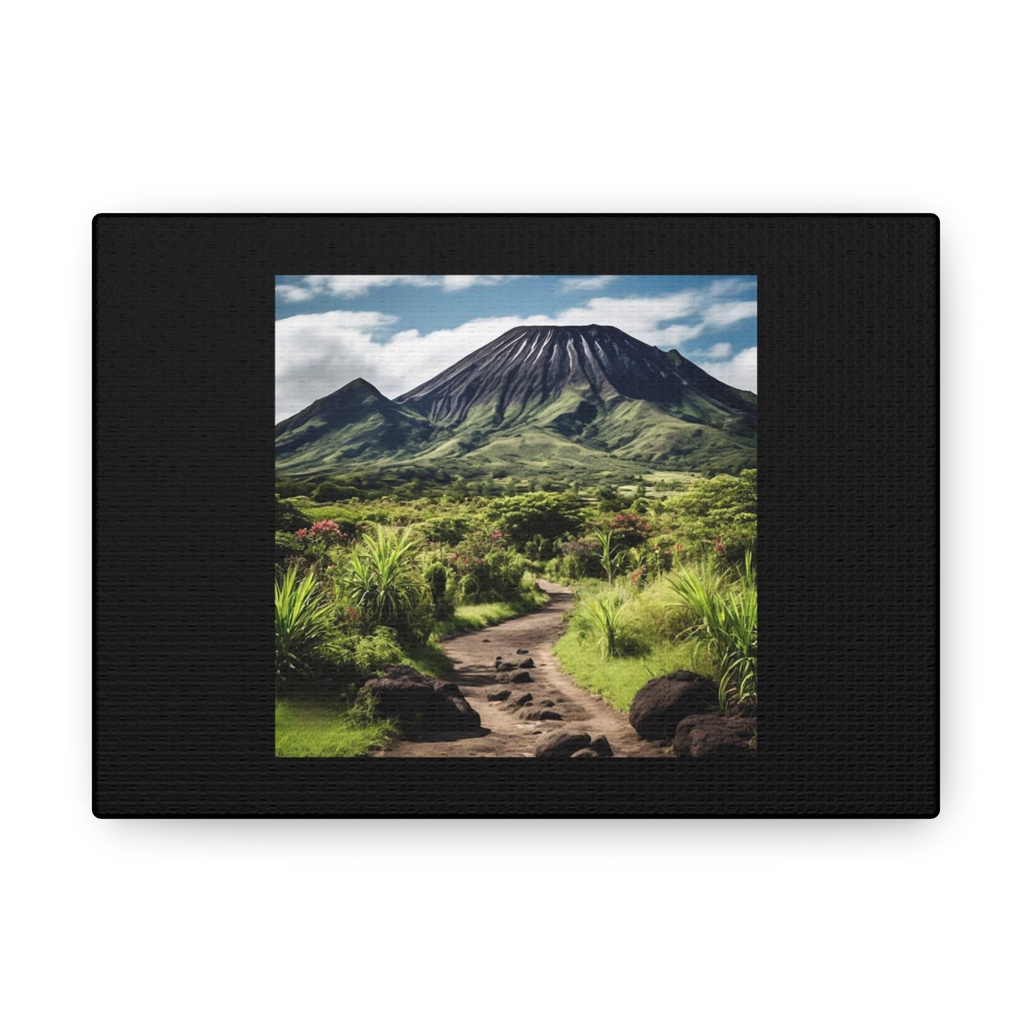 Scenic Black Canvas Gallery Wraps