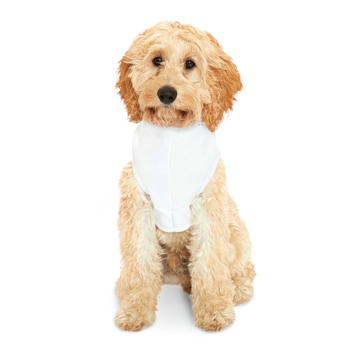 Matiby Pet Hoodie