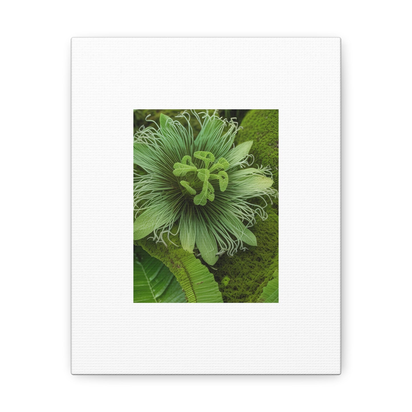 Artzy Green Flower White Canvas Gallery Wraps