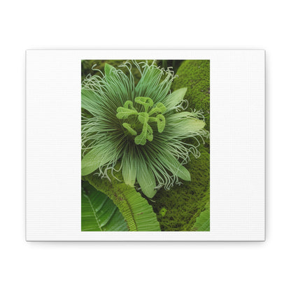 Artzy Green Flower White Canvas Gallery Wraps