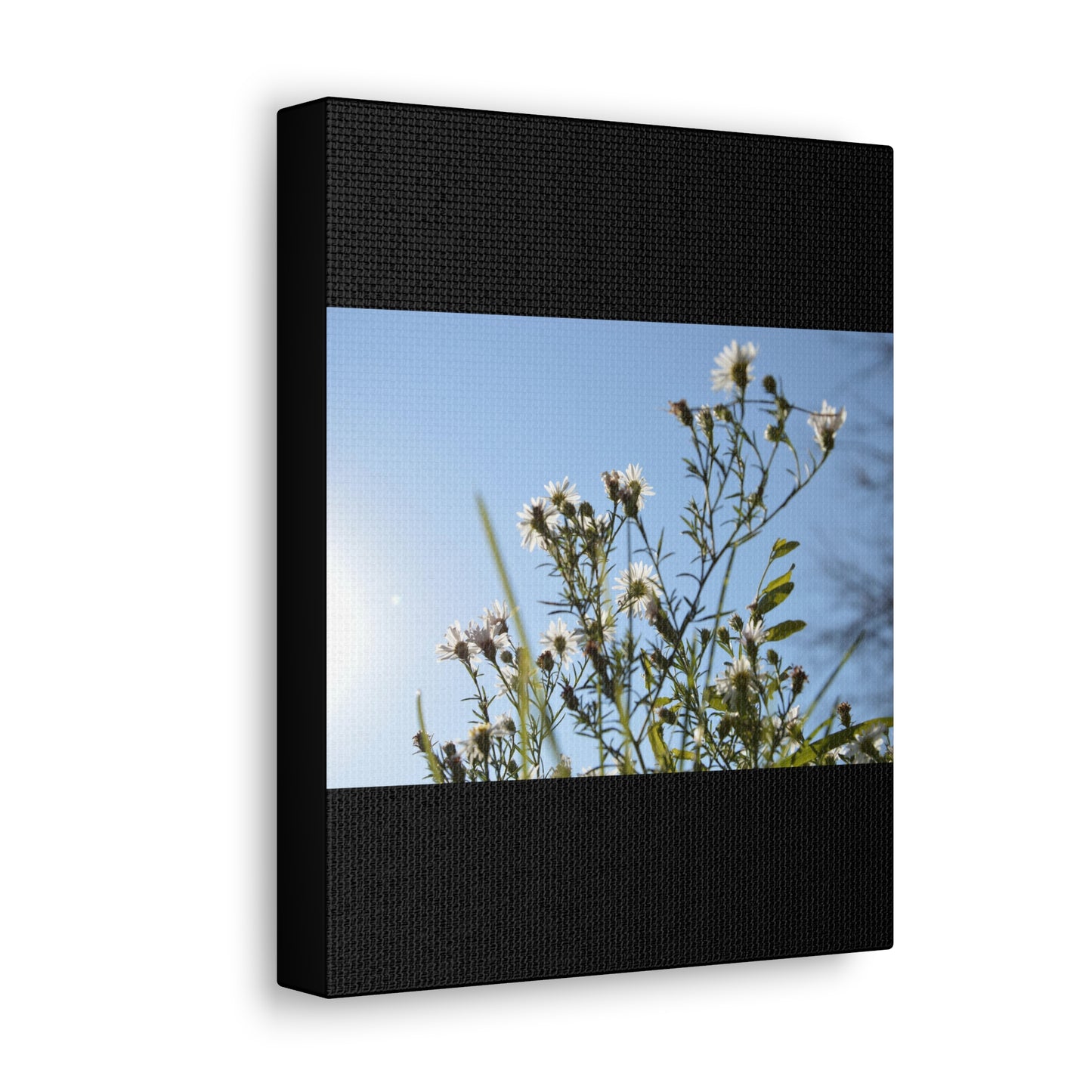 Flowery Black Canvas Gallery Wraps