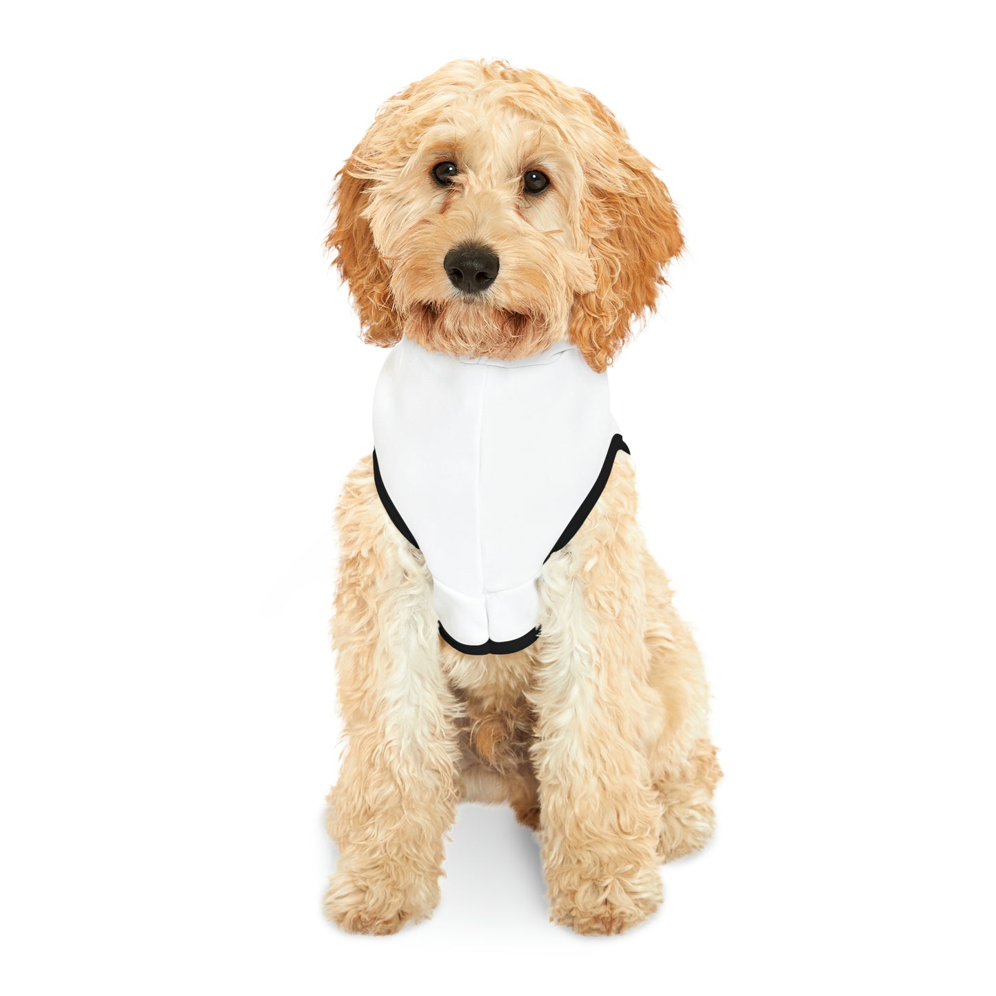 Matiby Pet Hoodie