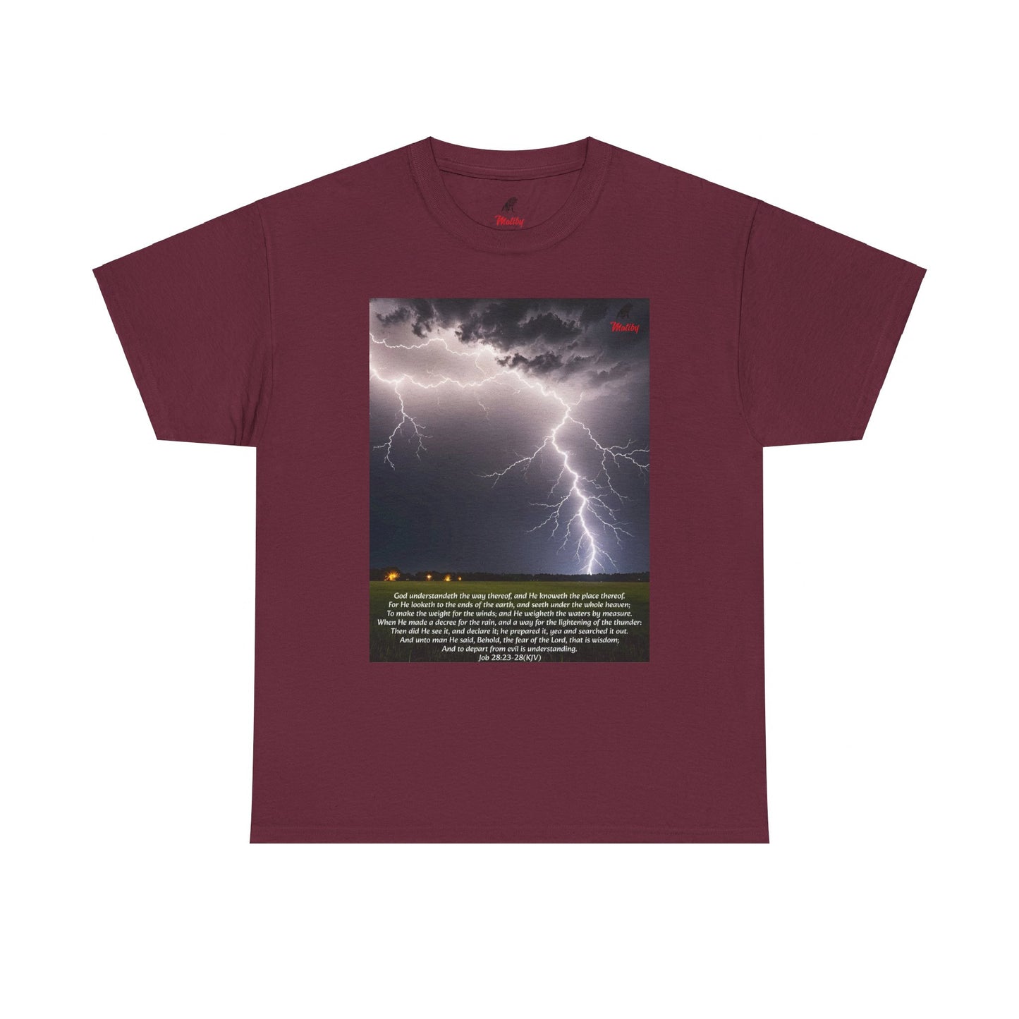 Lightning Style Fear of the Lord Unisex Heavy Cotton Tee