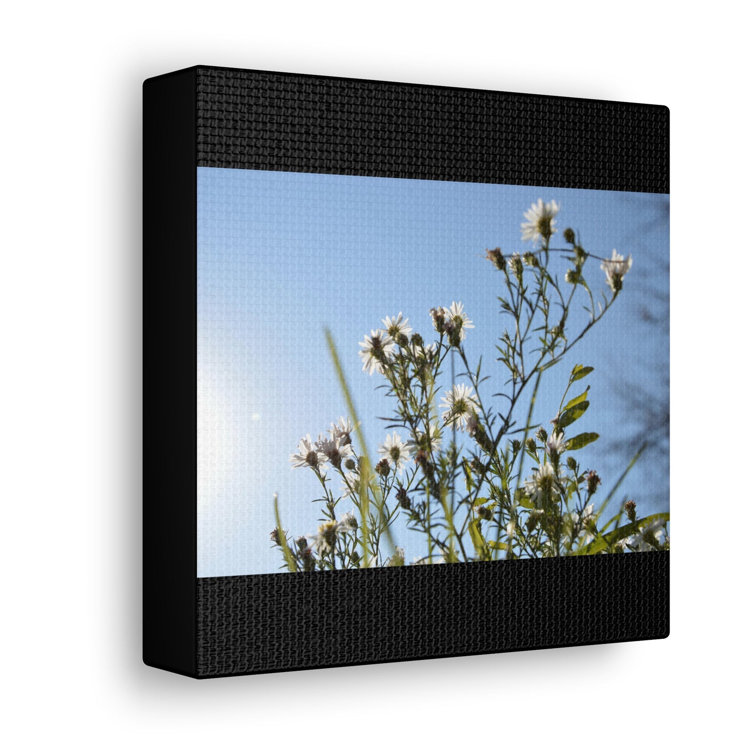 Flowery Black Canvas Gallery Wraps