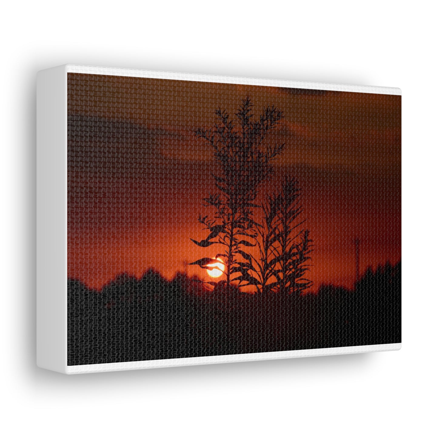 Nature Sunset Silhouette Black Canvas Gallery Wraps