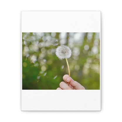 Blowing Dandelion Canvas Gallery Wraps