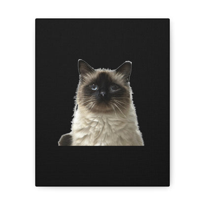 Cat Black Canvas Gallery Wraps