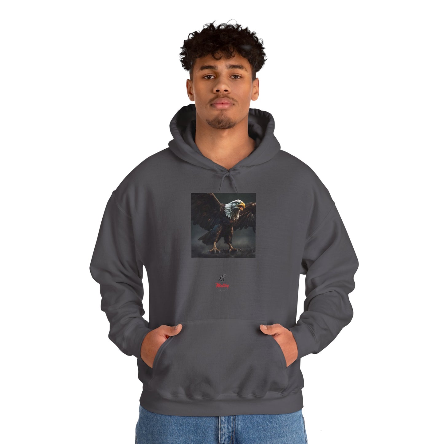 Beaks Unisex Heavy Blend™ Hooded Sweatshirt