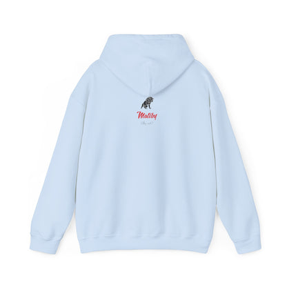 Japanese Cherry Blossom Unisex Heavy Blend™ Hooded Sweatshirt