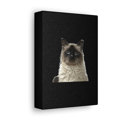 Cat Black Canvas Gallery Wraps