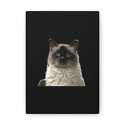 Cat Black Canvas Gallery Wraps