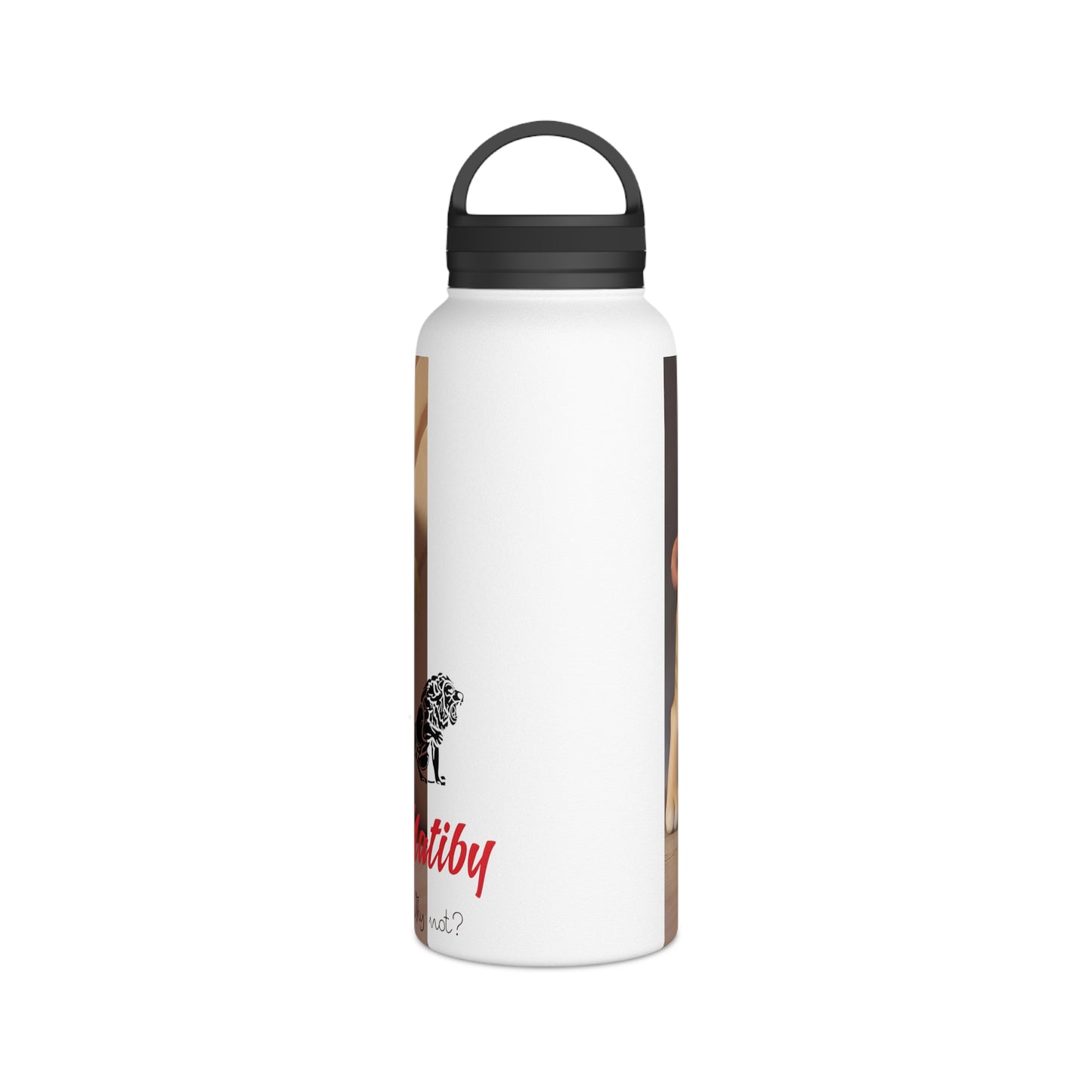 Artzy Stainless Steel Water Bottle, Handle Lid