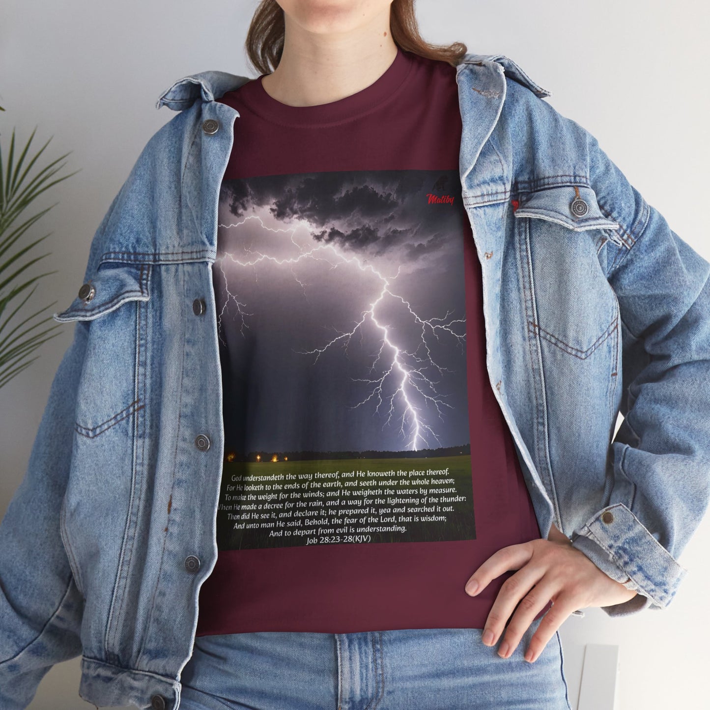 Lightning Style Fear of the Lord Unisex Heavy Cotton Tee