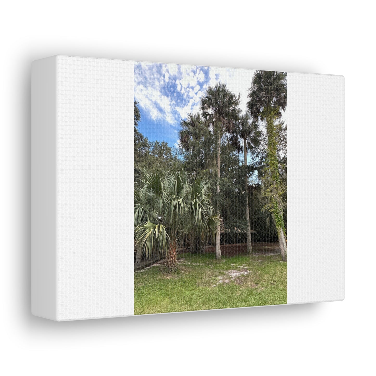 Matiby "Reals" Nature White Canvas Gallery Wraps