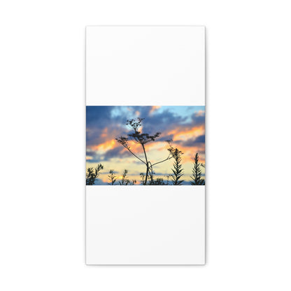 Nature Sunset Silhouette Canvas Gallery Wraps