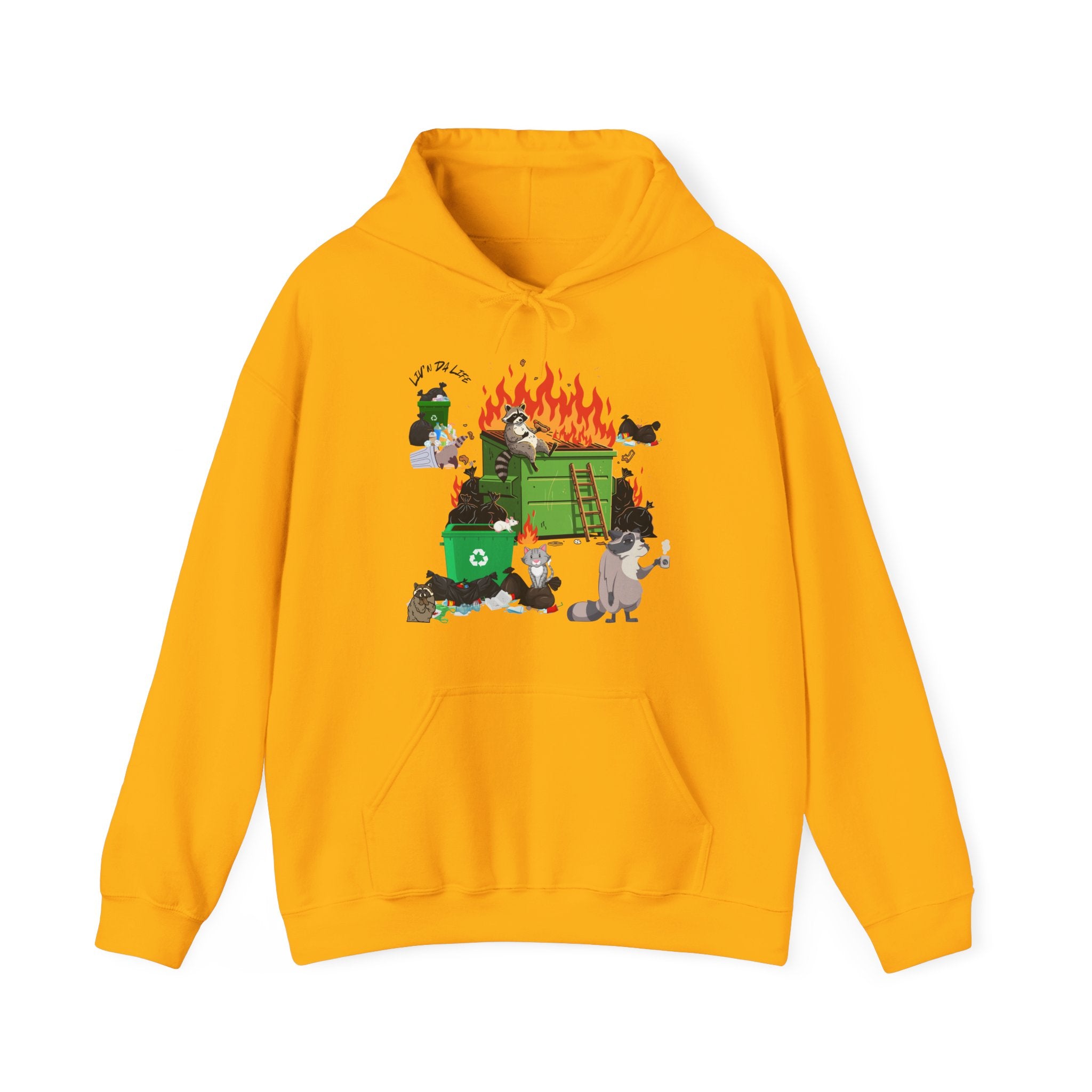 Raccoon Hoodie #1, Dumpster Fire Sweatshirt, Funny Raccoons Pullover, Unisex Hooded Jumper, Graphic Design Hoody, Wildlife Animal Sweater