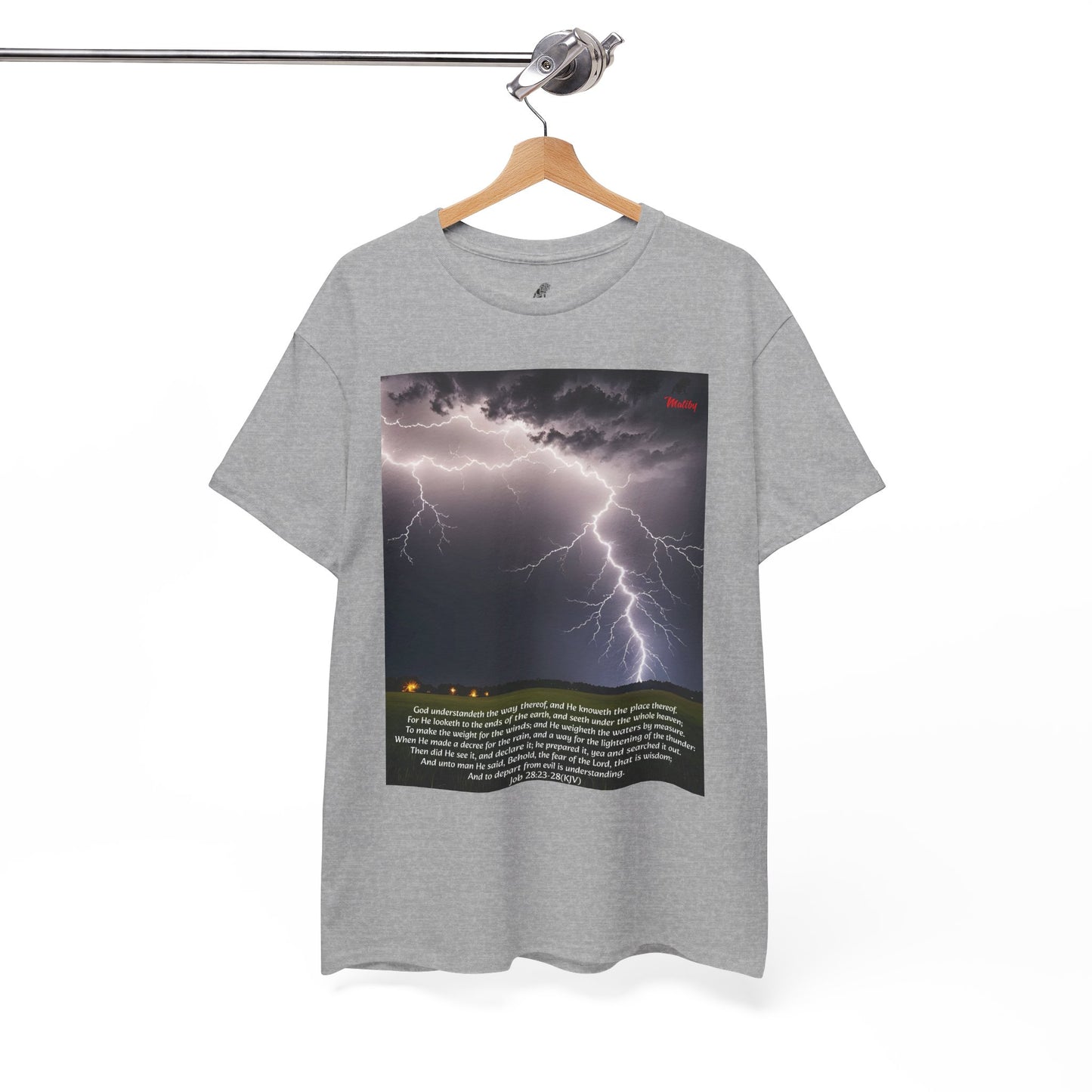 Lightning Style Fear of the Lord Unisex Heavy Cotton Tee