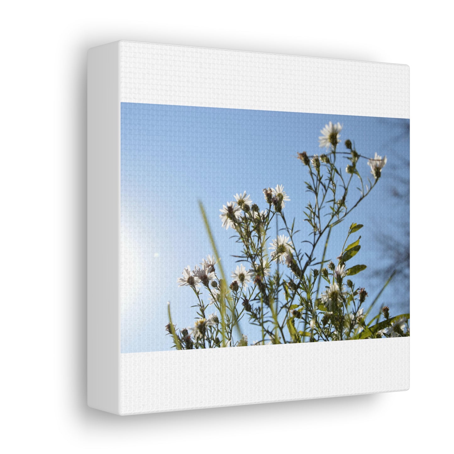 Flowery White Canvas Gallery Wraps