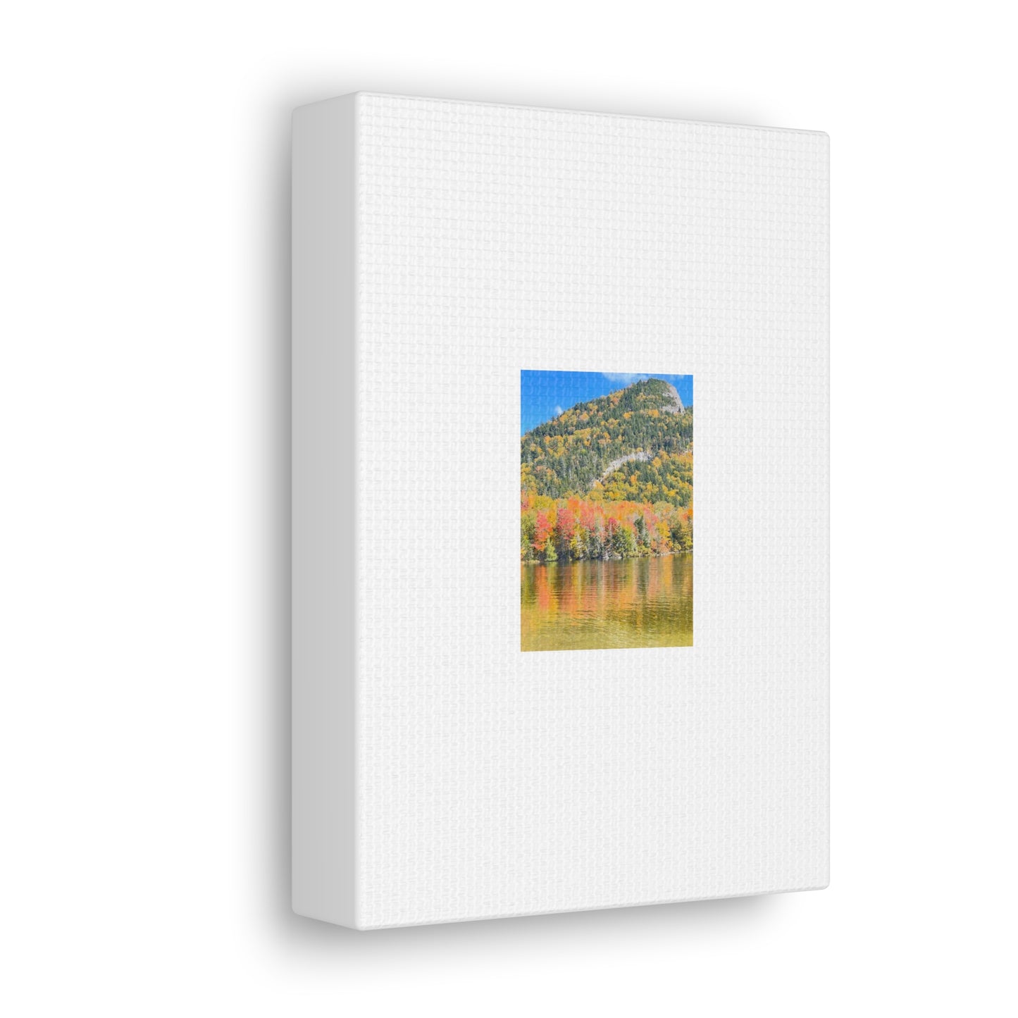 Nature Scenic White Canvas Gallery Wraps