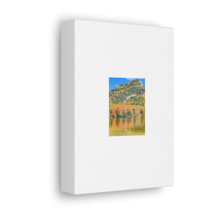 Nature Scenic White Canvas Gallery Wraps